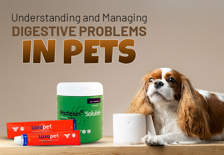 Managing Digestive Problems in Pets
